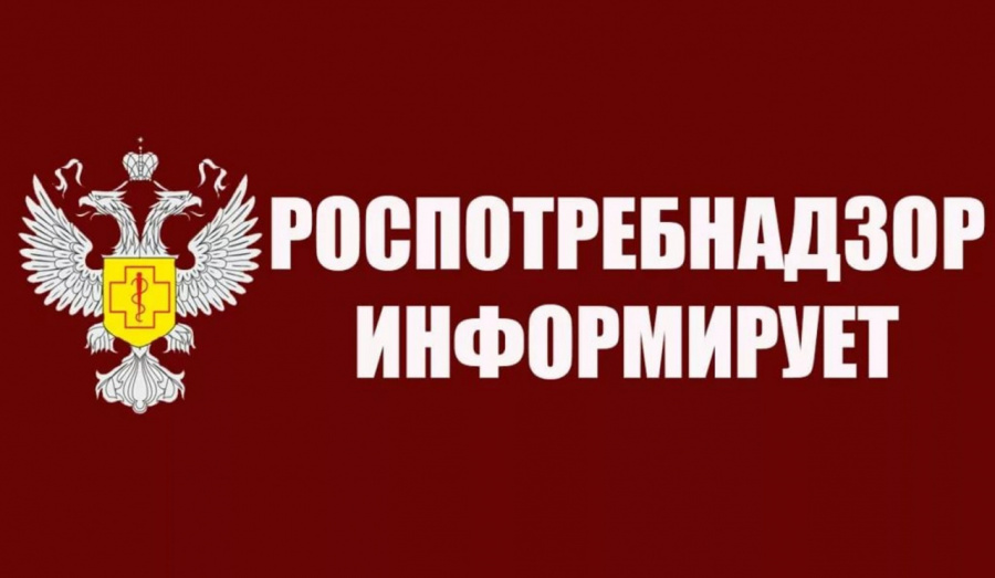 О проведении горячей линии по вопросам качества и безопасности детских товаров, выборе новогодних подарков