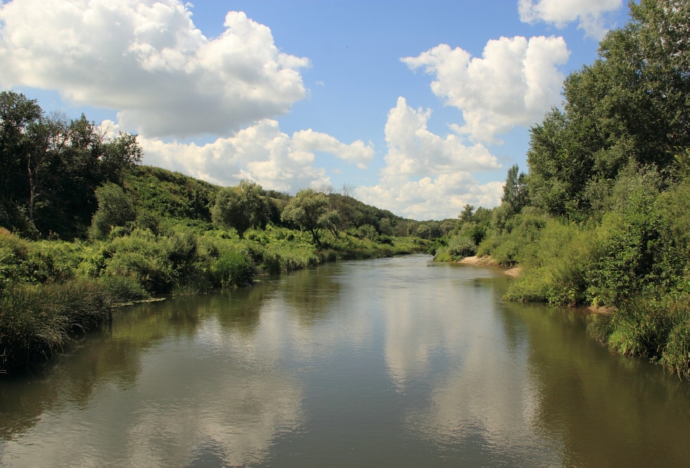 Река Медведица