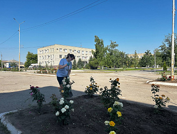 Вчера, раним утром сотрудники администрации, образования и бухгалтерии вышли на субботник для благоустройства площади имени Ленина