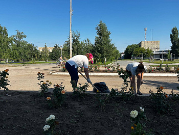 Вчера, раним утром сотрудники администрации, образования и бухгалтерии вышли на субботник для благоустройства площади имени Ленина